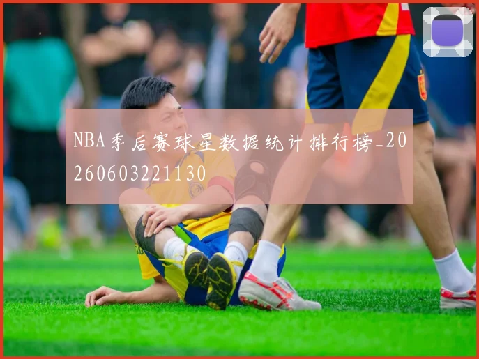 NBA季后赛球星数据统计排行榜_20260603221130