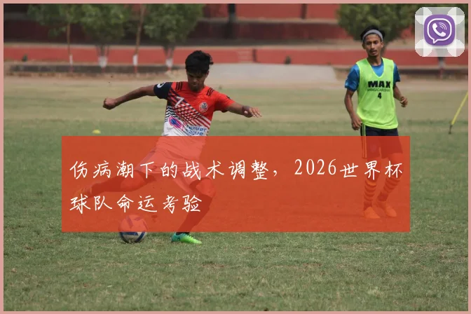 伤病潮下的战术调整，2026世界杯球队命运考验